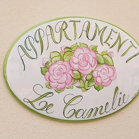 아파트 Le Camelie -appartamenti Nuovi 포르토 산텔피디오