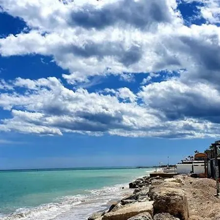 Le Camelie -appartamenti Nuovi *